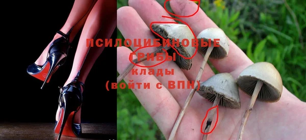 мет Кукмор