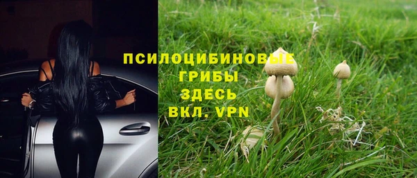 ПСИЛОЦИБИНОВЫЕ ГРИБЫ Куйбышев