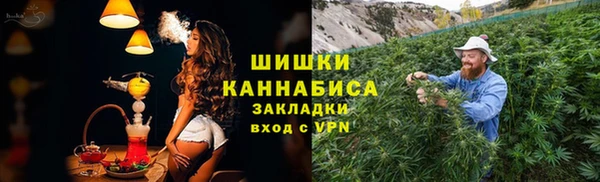 ПСИЛОЦИБИНОВЫЕ ГРИБЫ Куйбышев