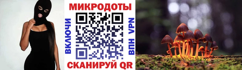 купить наркотик  Дно  Псилоцибиновые грибы мухоморы 