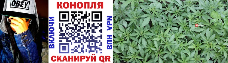 mega   Дно  Бошки Шишки THC 21% 